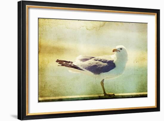 Vintage Photo Of A Seagull-Artistic Retro Styled Picture-melis-Framed Photographic Print