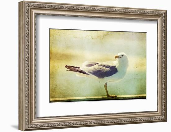 Vintage Photo Of A Seagull-Artistic Retro Styled Picture-melis-Framed Photographic Print