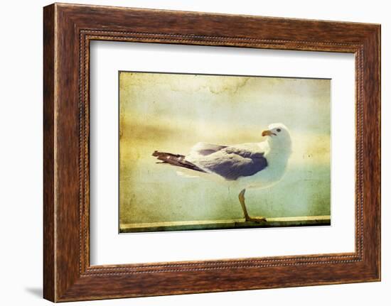 Vintage Photo Of A Seagull-Artistic Retro Styled Picture-melis-Framed Photographic Print