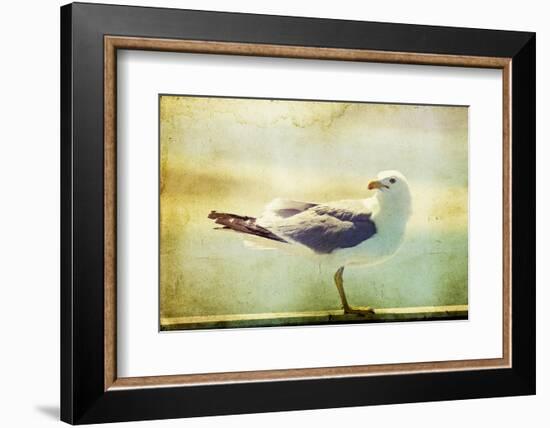 Vintage Photo Of A Seagull-Artistic Retro Styled Picture-melis-Framed Photographic Print