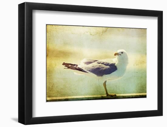 Vintage Photo Of A Seagull-Artistic Retro Styled Picture-melis-Framed Photographic Print