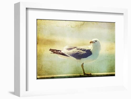 Vintage Photo Of A Seagull-Artistic Retro Styled Picture-melis-Framed Photographic Print