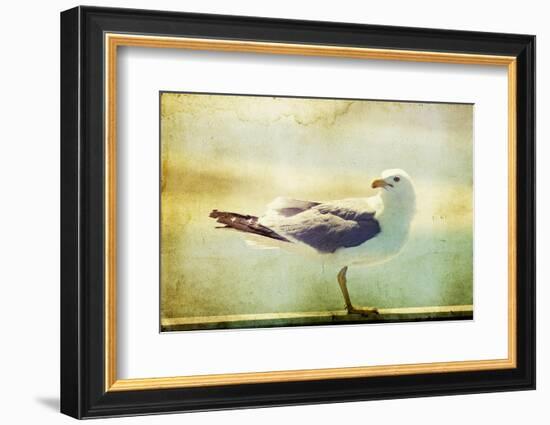 Vintage Photo Of A Seagull-Artistic Retro Styled Picture-melis-Framed Photographic Print