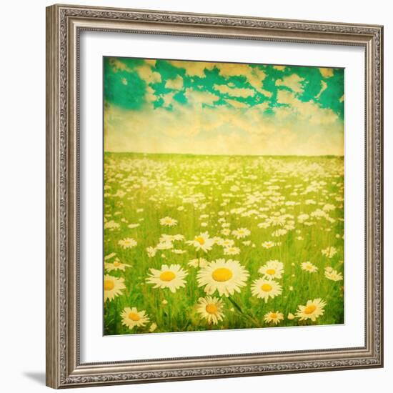 Vintage Photo of Daisy Field and Cloudy Sky-Elenamiv-Framed Premium Giclee Print