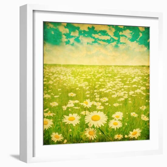 Vintage Photo of Daisy Field and Cloudy Sky-Elenamiv-Framed Premium Giclee Print