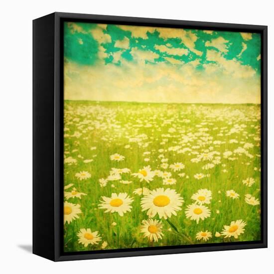 Vintage Photo of Daisy Field and Cloudy Sky-Elenamiv-Framed Stretched Canvas