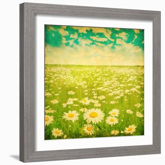 Vintage Photo of Daisy Field and Cloudy Sky-Elenamiv-Framed Art Print