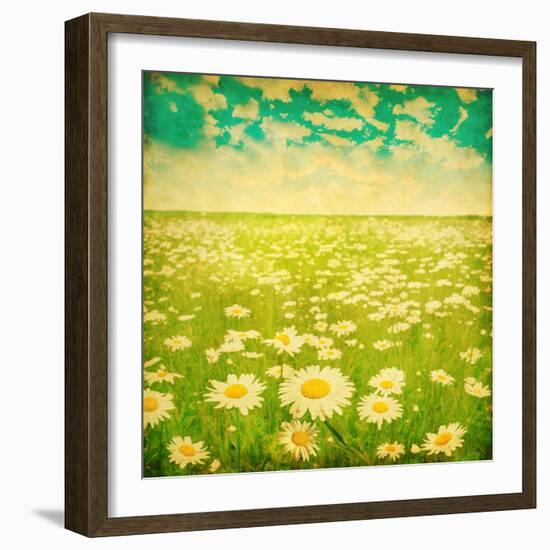 Vintage Photo of Daisy Field and Cloudy Sky-Elenamiv-Framed Art Print