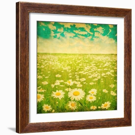 Vintage Photo of Daisy Field and Cloudy Sky-Elenamiv-Framed Art Print