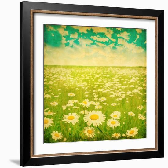 Vintage Photo of Daisy Field and Cloudy Sky-Elenamiv-Framed Art Print