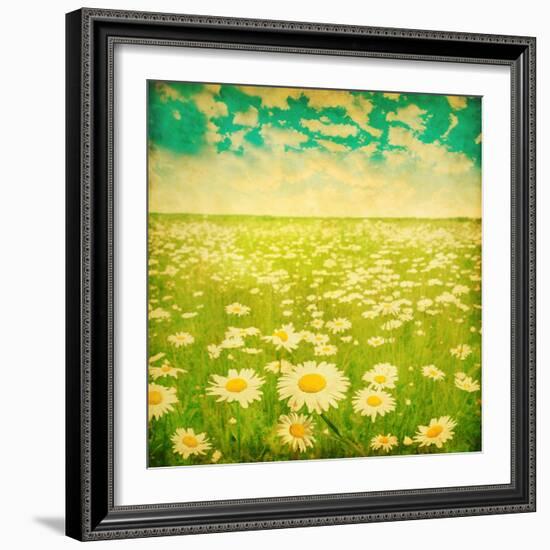 Vintage Photo of Daisy Field and Cloudy Sky-Elenamiv-Framed Art Print