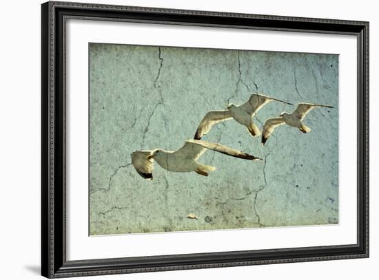 Vintage Photo Of Flying Seagulls-melis-Framed Art Print