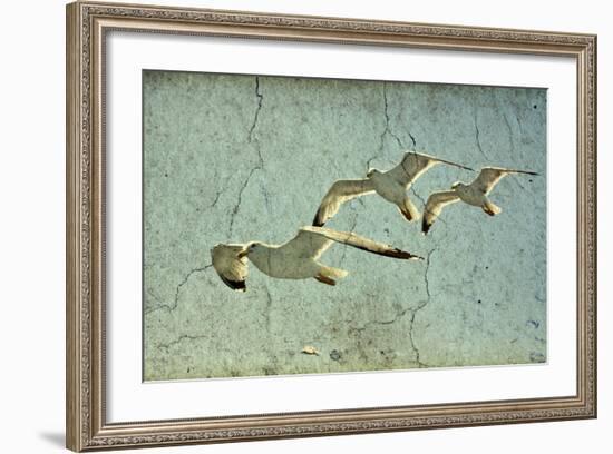 Vintage Photo Of Flying Seagulls-melis-Framed Art Print