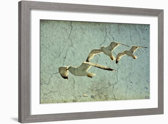 Vintage Photo Of Flying Seagulls-melis-Framed Art Print