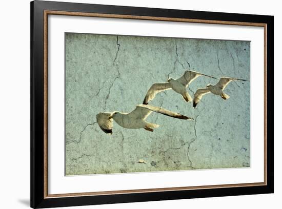 Vintage Photo Of Flying Seagulls-melis-Framed Art Print