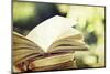 Vintage Photo of Old Books on Colorful Bokeh Background-melis-Mounted Photographic Print