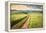 Vintage Picture of the Road in a Barley Field. Among Mountains-Ralko Vadim-Framed Premier Image Canvas