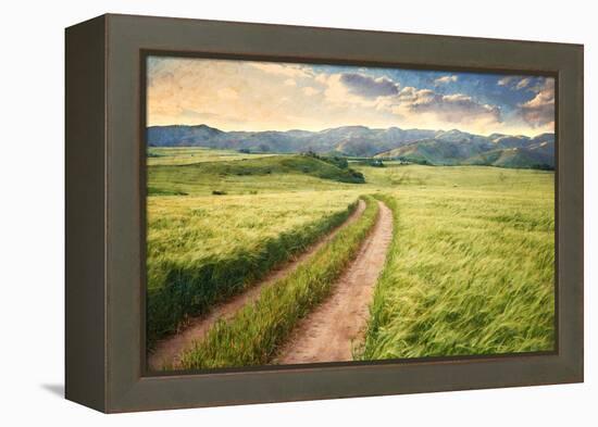 Vintage Picture of the Road in a Barley Field. Among Mountains-Ralko Vadim-Framed Premier Image Canvas