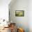 Vintage Picture of the Road in a Barley Field. Among Mountains-Ralko Vadim-Framed Premier Image Canvas displayed on a wall