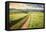 Vintage Picture of the Road in a Barley Field. Among Mountains-Ralko Vadim-Framed Premier Image Canvas