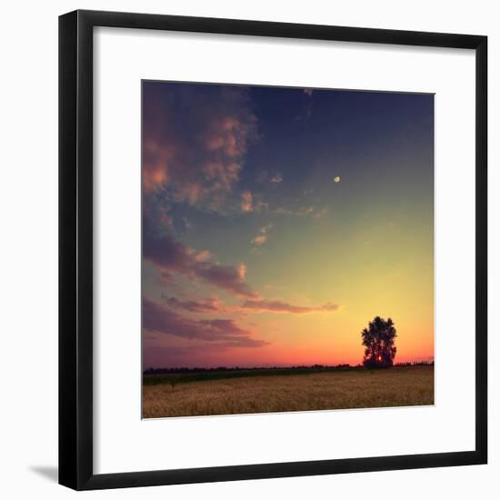 Vintage Picture Sunset With Moon And Clouds Sky In A Wheat Field With Lonely Tree Photographic Print By Vitalii Bashkatov Art Com
