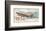 Vintage Plane III-Alan Hopfensperger-Framed Art Print