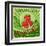 Vintage Poster For Strawberries Farm-radubalint-Framed Art Print