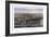 Vintage Print of Washington D.C-Stocktrek Images-Framed Premium Giclee Print