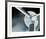 Vintage Propellor I-Chris Dunker-Framed Limited Edition