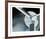 Vintage Propellor I-Chris Dunker-Framed Limited Edition