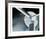 Vintage Propellor I-Chris Dunker-Framed Limited Edition