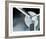 Vintage Propellor I-Chris Dunker-Framed Limited Edition