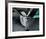 Vintage Propellor IV-Chris Dunker-Framed Limited Edition