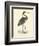 Vintage Purple Heron-Morris-Framed Art Print