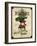 Vintage Radish Seed Packet-null-Framed Giclee Print