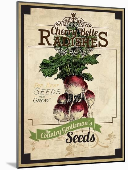 Vintage Radish Seed Packet-null-Mounted Giclee Print