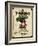 Vintage Radish Seed Packet-null-Framed Giclee Print