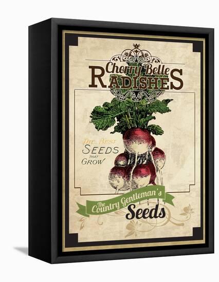 Vintage Radish Seed Packet-null-Framed Premier Image Canvas