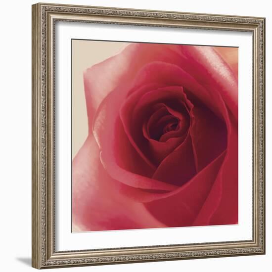 Vintage Red Rose-Andreas Stridsberg-Framed Giclee Print