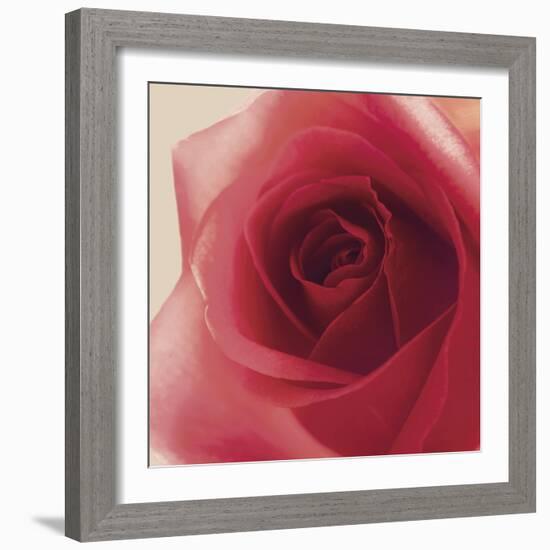 Vintage Red Rose-Andreas Stridsberg-Framed Giclee Print