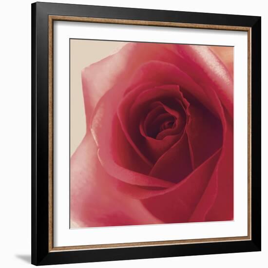 Vintage Red Rose-Andreas Stridsberg-Framed Giclee Print