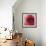 Vintage Red Rose-Andreas Stridsberg-Framed Giclee Print displayed on a wall