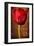 Vintage Red Tulip II-Christine Zalewski-Framed Art Print