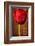 Vintage Red Tulip II-Christine Zalewski-Framed Art Print