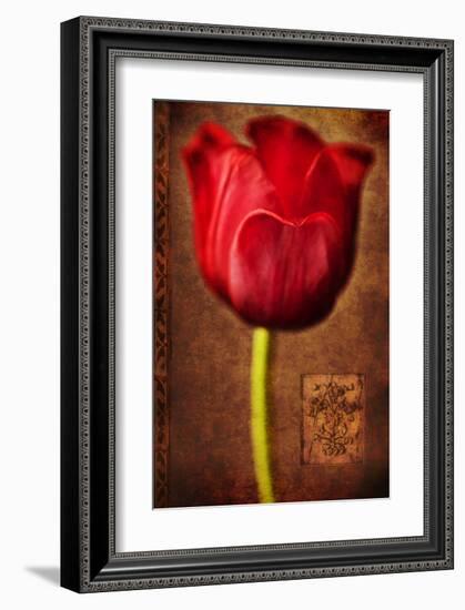 Vintage Red Tulip II-Christine Zalewski-Framed Art Print