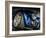 Vintage Retro American Car-David Challinor-Framed Photographic Print