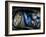 Vintage Retro American Car-David Challinor-Framed Photographic Print