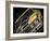 Vintage Retro American Car-David Challinor-Framed Photographic Print