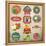 Vintage Retro Grunge Fresh Fruit Labels, Badges and Icons-Catherinecml-Framed Stretched Canvas