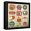 Vintage Retro Grunge Fresh Fruit Labels, Badges and Icons-Catherinecml-Framed Stretched Canvas